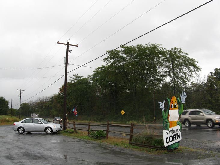 Richard's Scattered Acres Farm Market, Pennsylvania Route 487, Elysburg, Pennsylvania