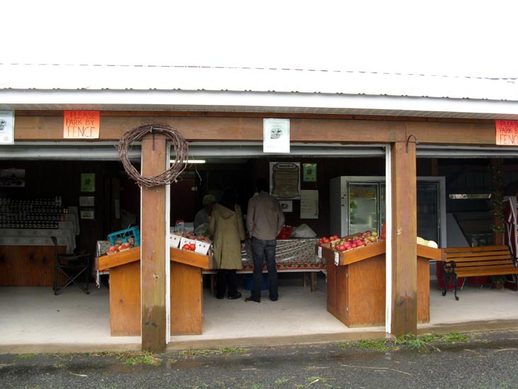 Richard's Scattered Acres Farm Market, Pennsylvania Route 487, Elysburg, Pennsylvania