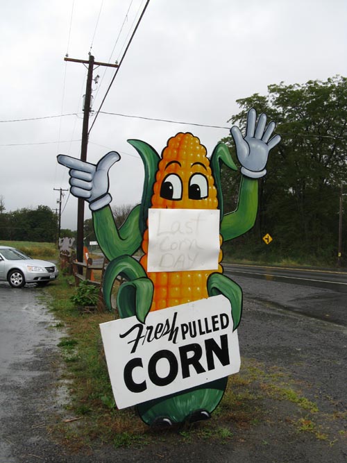 Richard's Scattered Acres Farm Market, Pennsylvania Route 487, Elysburg, Pennsylvania