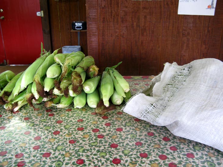 Richard's Scattered Acres Farm Market, Pennsylvania Route 487, Elysburg, Pennsylvania