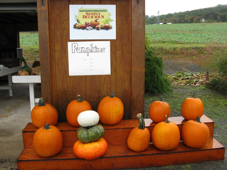 Richard's Scattered Acres Farm Market, Pennsylvania Route 487, Elysburg, Pennsylvania