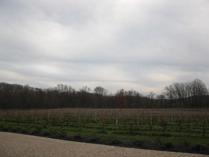 J. Maki Winery, 200 Grove Road, Elverson, Pennsylvania, November 26, 2010
