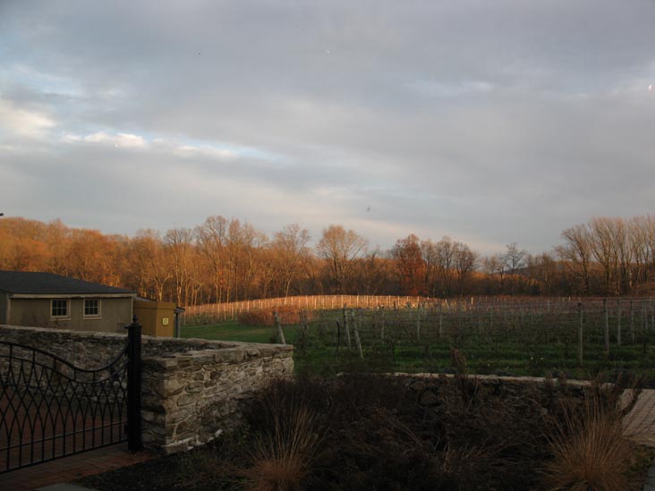 J. Maki Winery, 200 Grove Road, Elverson, Pennsylvania, November 26, 2010