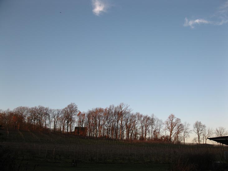 J. Maki Winery, 200 Grove Road, Elverson, Pennsylvania, November 26, 2010