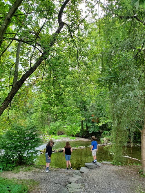 Cherry Creek Behind Village Farmer and Bakery, Delaware Water Gap, Pennsylvania, August 31, 2020