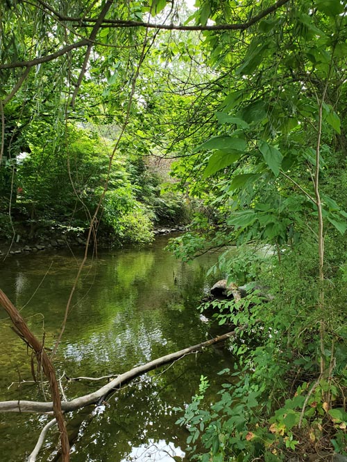 Cherry Creek Behind Village Farmer and Bakery, Delaware Water Gap, Pennsylvania, August 31, 2020