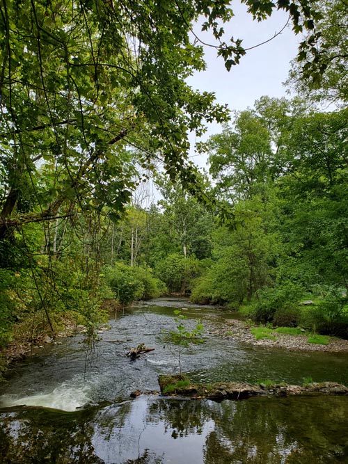 Cherry Creek Behind Village Farmer and Bakery, Delaware Water Gap, Pennsylvania, August 31, 2020