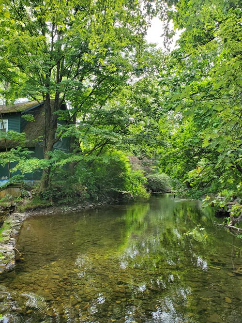 Cherry Creek Behind Village Farmer and Bakery, Delaware Water Gap, Pennsylvania, August 31, 2020