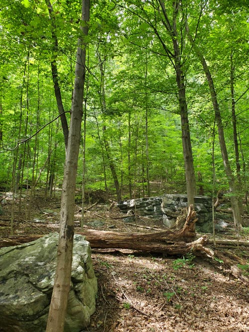 Arrow Island Trail, Delaware Water Gap National Recreation Area, Pennsylvania, August 31, 2020
