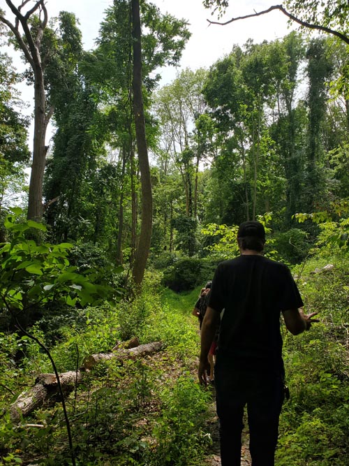 Arrow Island Trail, Delaware Water Gap National Recreation Area, Pennsylvania, August 31, 2020