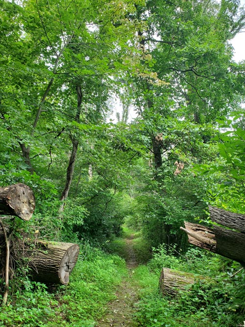 Arrow Island Trail, Delaware Water Gap National Recreation Area, Pennsylvania, August 31, 2020