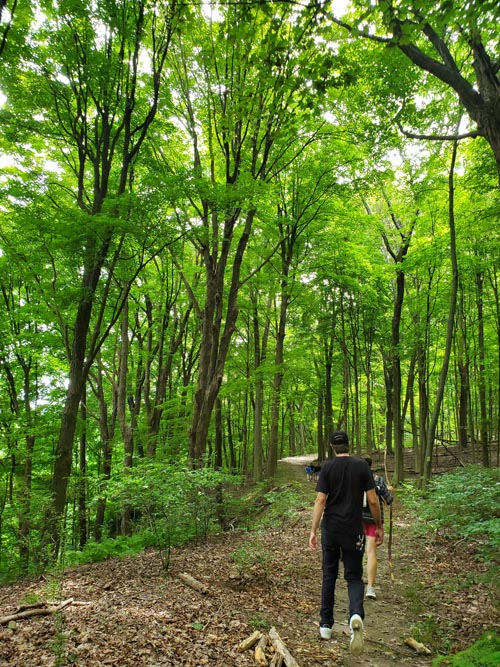 Arrow Island Trail, Delaware Water Gap National Recreation Area, Pennsylvania, August 31, 2020