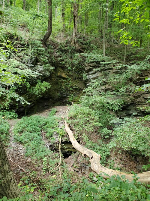 Arrow Island Trail, Delaware Water Gap National Recreation Area, Pennsylvania, August 31, 2020