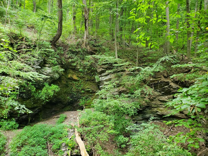 Arrow Island Trail, Delaware Water Gap National Recreation Area, Pennsylvania, August 31, 2020