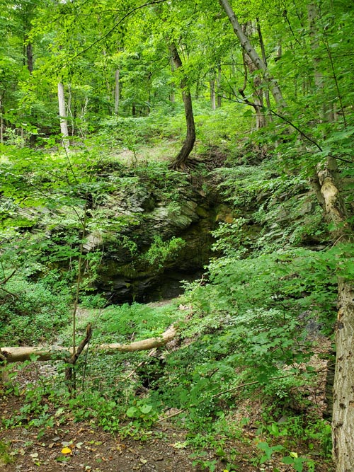 Arrow Island Trail, Delaware Water Gap National Recreation Area, Pennsylvania, August 31, 2020