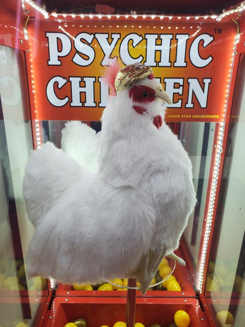 Psychic Chicken, Camelback Resort, Tannersville, Pennsylvania, July 23, 2022