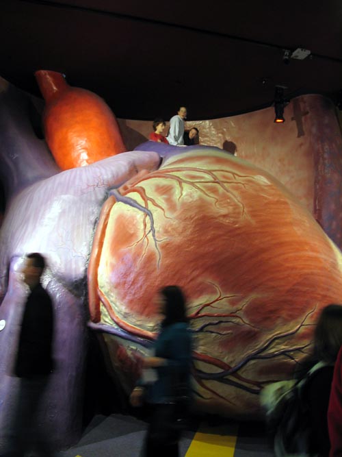 The Giant Heart, The Franklin Institute, 222 North 20th Street, Philadelphia, Pennsylvania