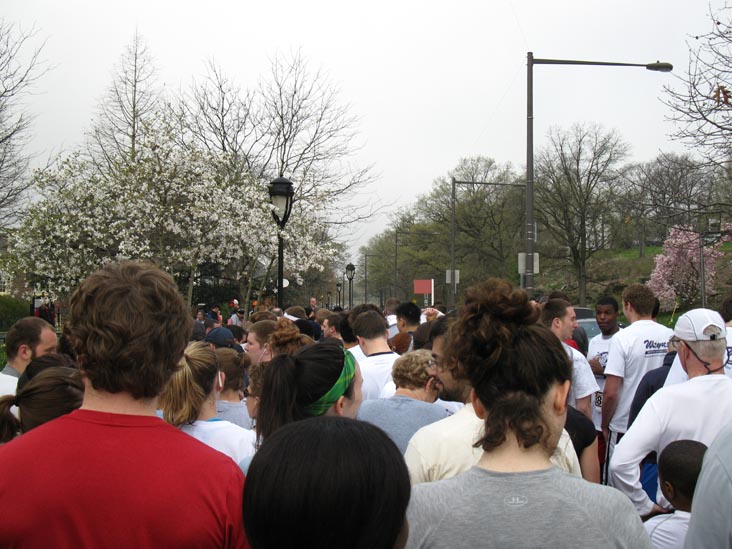 Starting Line, City 6 5K Charity Run, Kelly Drive, Fairmount Park, Philadelphia, Pennsylvania, April 3, 2010