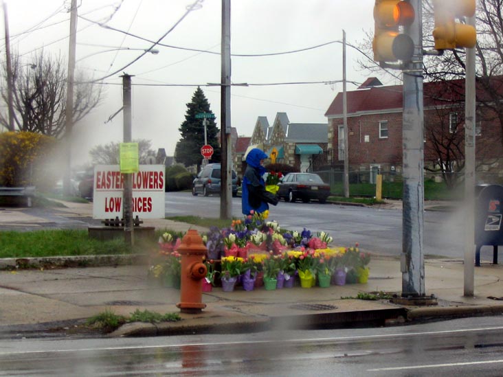 Easter Flowers, Low Prices, Northeast Philadelphia, Pennsylvania
