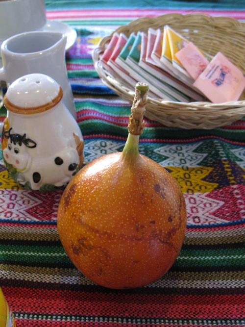 Hostal Casona Solar/Hotel Casona Solar, Calle Consuelo, 116, Arequipa, Peru