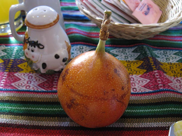 Hostal Casona Solar/Hotel Casona Solar, Calle Consuelo, 116, Arequipa, Peru