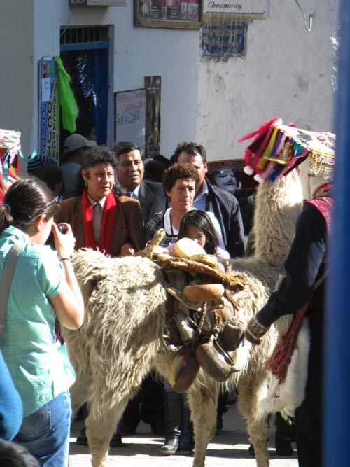 Qhapaq Qolla, Fiesta Virgen del Carmen, Plaza de Armas, Paucartambo, Peru, July 15, 2010