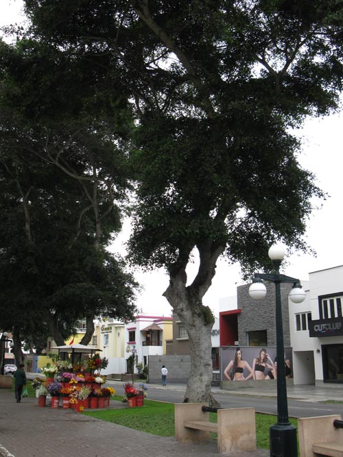 Calle Berlin and Jorge Chavez, Miraflores, Lima, Peru