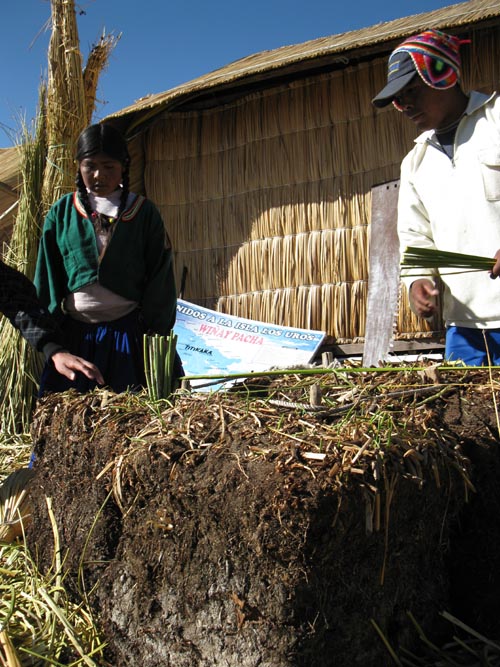 Totora Reed Khili Demonstration, Wiñay Pacha, Uros Floating Islands, Puno Bay, Lake Titicaca/Lago Titicaca, Peru