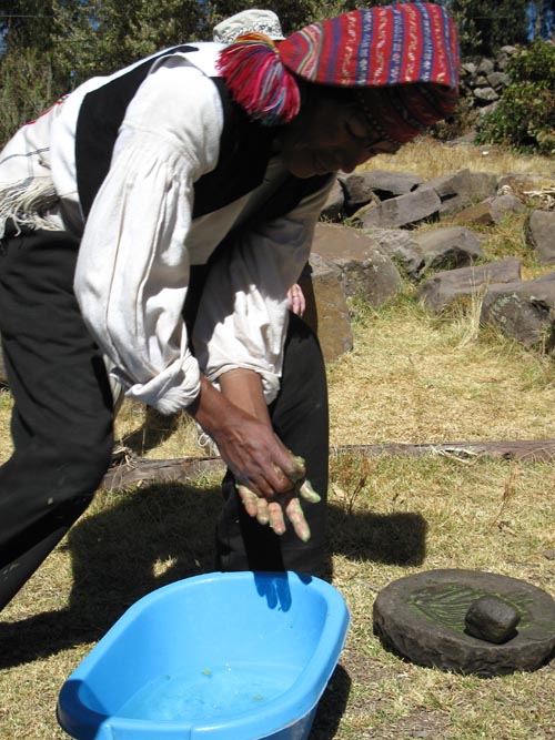 Soap Plant Demonstration, Marcahuasi, Taquile Island/Isla Taquile, Lake Titicaca/Lago Titicaca, Peru