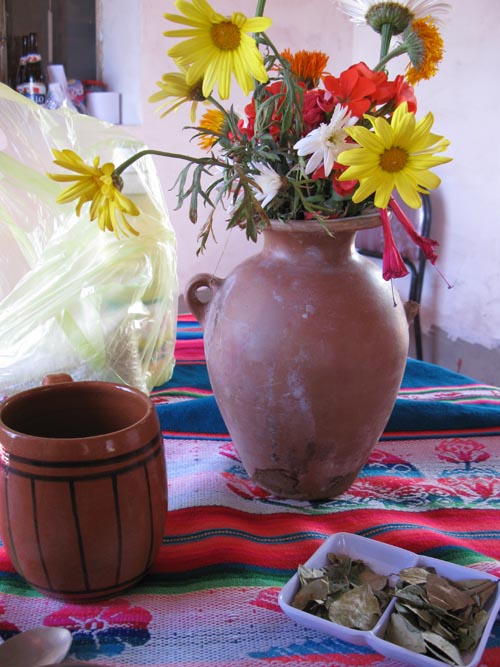 Coca Tea, Homestay, Amantaní Island, Lake Titicaca/Lago Titicaca, Peru