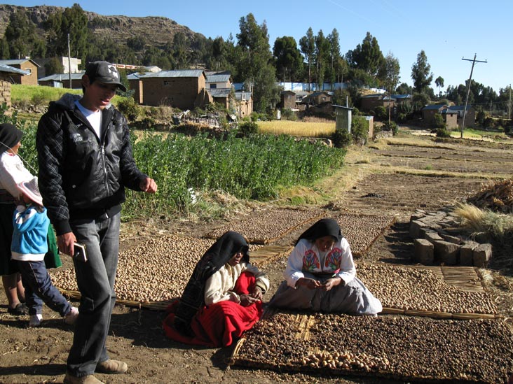 Potatoes, Farming Demonstration, Amantaní Island, Lake Titicaca/Lago Titicaca, Peru