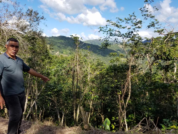 Sandra Farms, Adjuntas, Puerto Rico, February 18, 2018