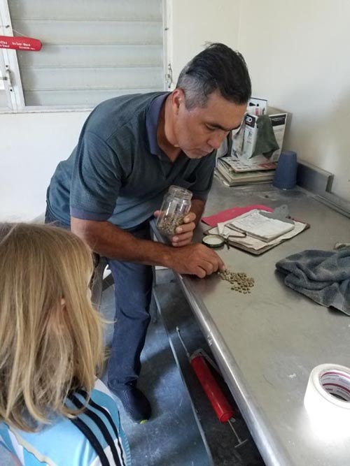 Sandra Farms, Adjuntas, Puerto Rico, February 18, 2018