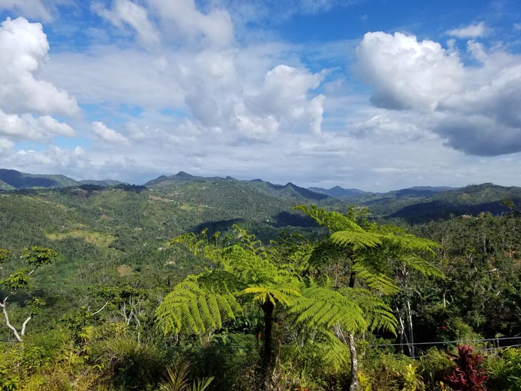View From Sandra Farms, Adjuntas, Puerto Rico, February 18, 2018