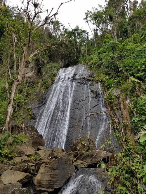 La Coca Falls, El Yunque National Forest, Puerto Rico, February 21, 2018