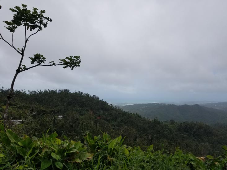 Overlook, El Yunque National Forest, Puerto Rico, February 21, 2018