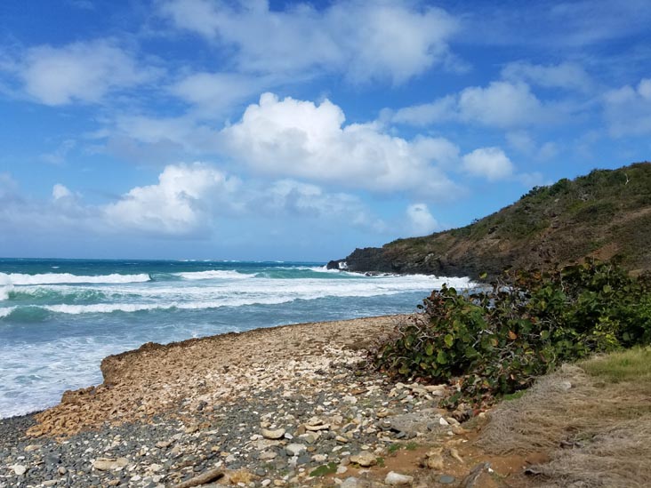 Rocky Beach, Cabezas de San Juan Nature Reserve, Fajardo, Puerto Rico, February 21, 2018