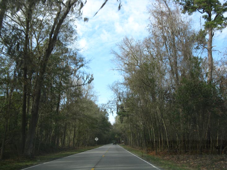 Ashley River Road Approaching Drayton Hall, Charleston, South Carolina