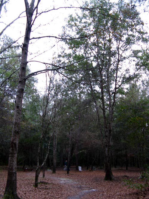 African-American Cemetery, Drayton Hall, Ashley River Road, Charleston, South Carolina