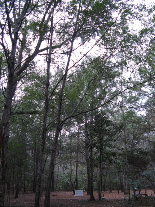 African-American Cemetery, Drayton Hall, Ashley River Road, Charleston, South Carolina