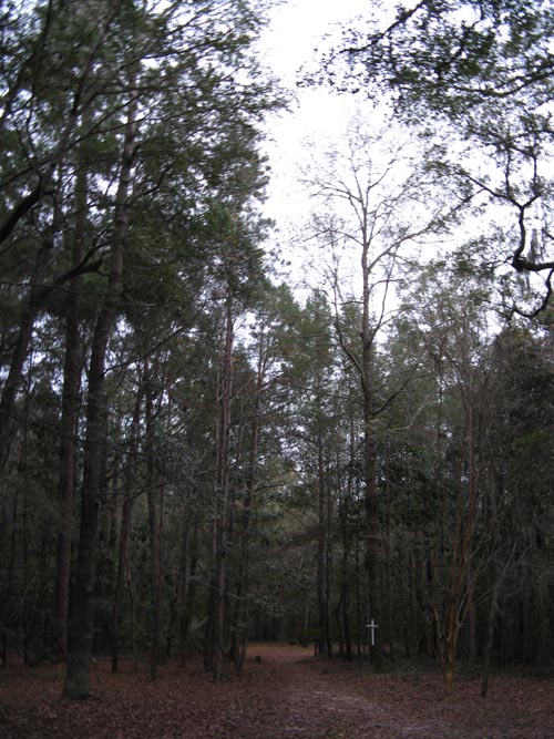 African-American Cemetery, Drayton Hall, Ashley River Road, Charleston, South Carolina