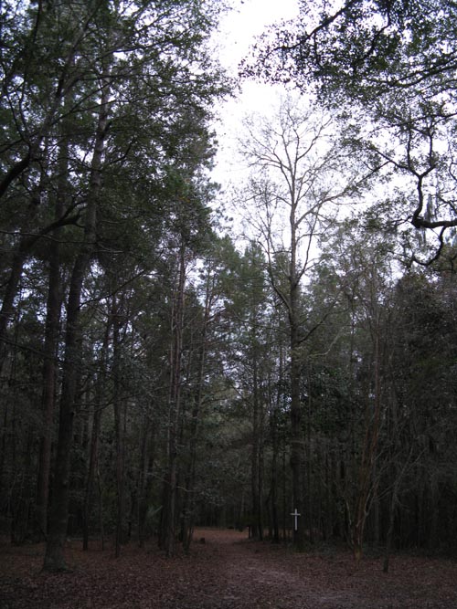 African-American Cemetery, Drayton Hall, Ashley River Road, Charleston, South Carolina