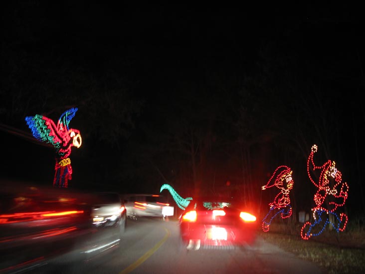 Holiday Festival of Lights, James Island County Park, Charleston, South Carolina