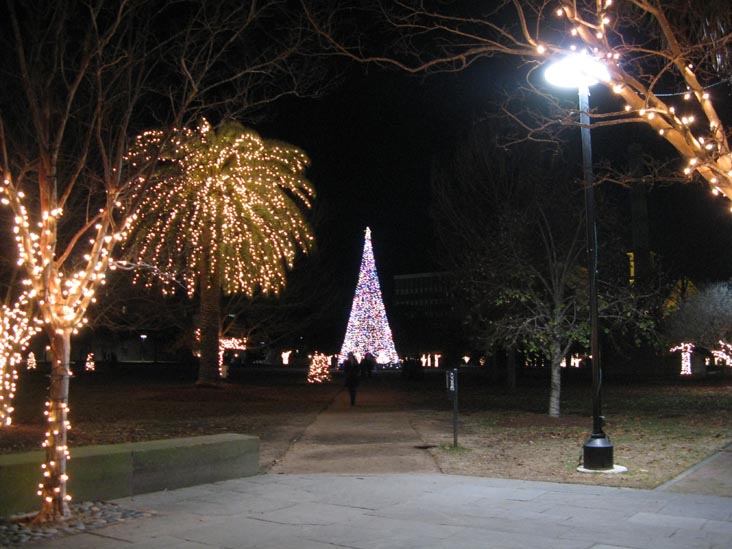 Christmas Tree, Marion Square, Charleston, South Carolina, December 29, 2009
