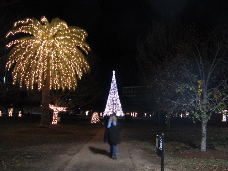 Christmas Tree, Marion Square, Charleston, South Carolina, December 29, 2009