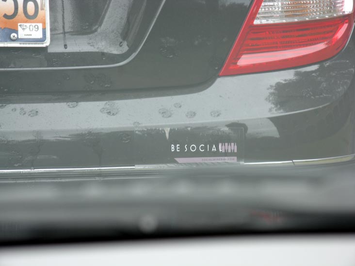 Social Wine Bar Bumper Sticker, Concord Street, Charleston, South Carolina