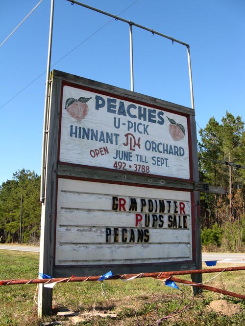 Hinnant Farm, 205 Hinnant Road, Eutawville, South Carolina