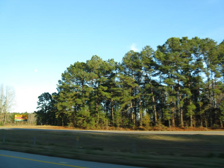 Interstate 95, Sumter County, South Carolina, December 29, 2009