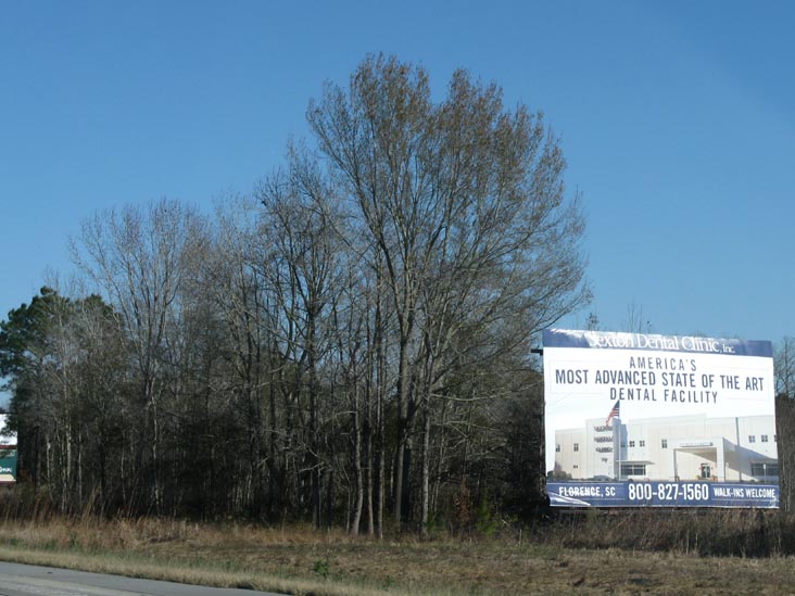 Interstate 95, Colleton County, South Carolina, January 2, 2010