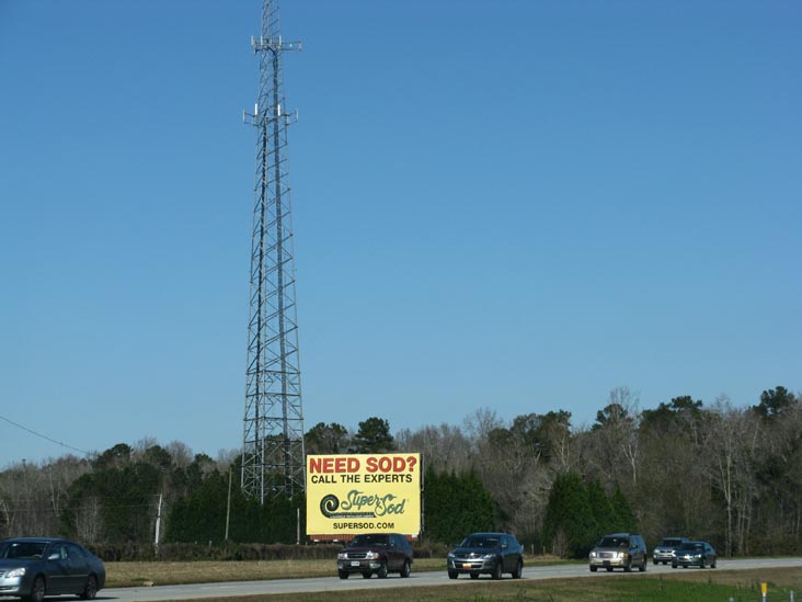 Interstate 95, Orangeburg County, South Carolina, January 2, 2010